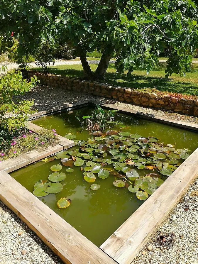 Domaine Du Feuillet Hotel Chanas